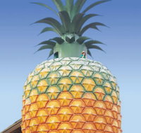 The Big Pineapple - Hotel QLD