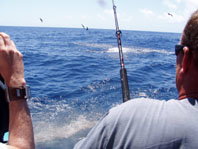 Downunder Charters - Hotel QLD 3