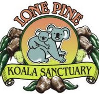 Lone Pine Koala Sanctuary - Hotel QLD
