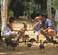 Billabong Sanctuary - Hotel QLD