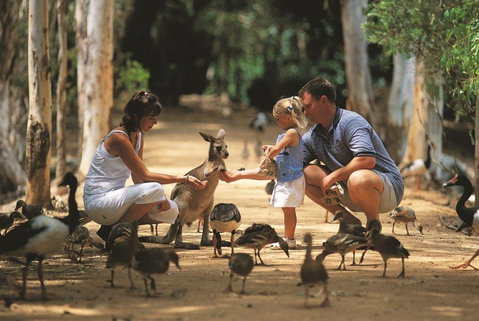 Billabong Sanctuary - Hotel QLD 0