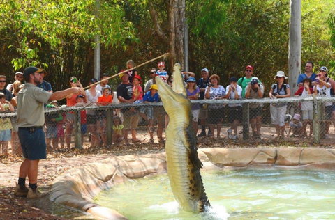 Billabong Sanctuary - Hotel QLD 2