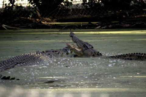Billabong Sanctuary - Hotel QLD 3