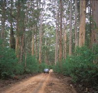 Boranup Drive - Hotel QLD
