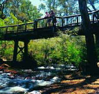 Barrabup Pool - Hotel QLD