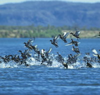 Ord River - Hotel QLD