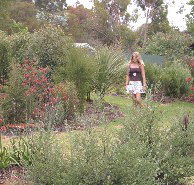 The Mythic Mazes - Hotel QLD