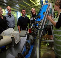 Eyre Peninsula's Seafood Trail - Hotel QLD