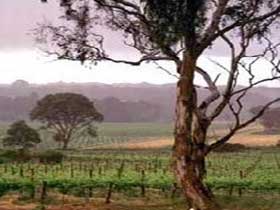 Ashbourne SA Hotel QLD