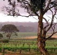 Yangarra Estate Vineyard - Hotel QLD