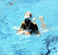 Mount Gambier Aquatic Centre - Hotel QLD