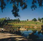 Mount Hurtle Winery home of Geoff Merrill Wines - Hotel QLD