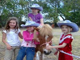 Amberainbow Pony Rides - Hotel QLD 0