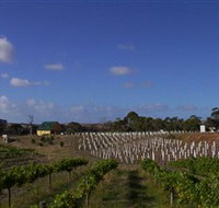 Deep Creek Wines and Alpacas - Hotel QLD