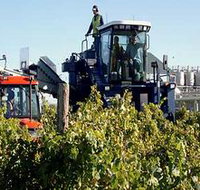 Ballast Stone Estate Wines Pty Ltd - Hotel QLD