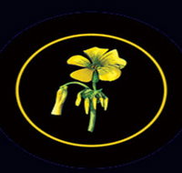 Battle of Bosworth Wines - Hotel QLD