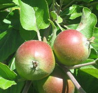 Sage Cooking School - Hotel QLD