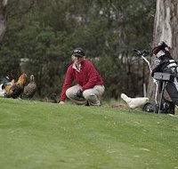 Tasmania Golf Club - The - Hotel QLD
