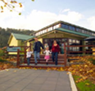 Australian Axeman's Hall of Fame - Hotel QLD