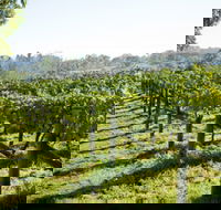 Surveyor's Hill Vineyards - Hotel QLD