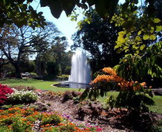 Book Darwin NT Attractions Hotel QLD Hotel QLD