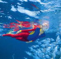 Outer Rocks Dive Site - Hotel QLD