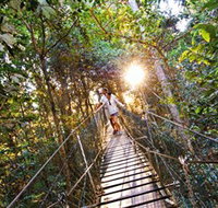 Tree Top Walkway - Hotel QLD