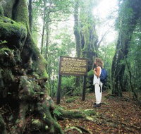 Tooloona Creek circuit - Hotel QLD