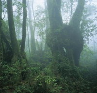 West Canungra Creek Circuit - Hotel QLD
