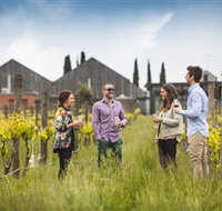 Willow Creek Vineyard