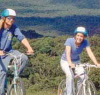 Lysterfield Park - Hotel QLD