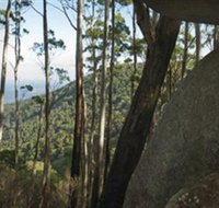 Gulaga National Park - Hotel QLD