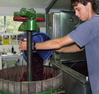 Fern Gully Winery - Hotel QLD