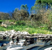 Abrahams Bosom Reserve - Hotel QLD
