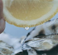Pearly Oyster Bar and Farm