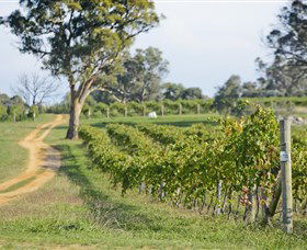 Shaw Vineyard Estate - Hotel QLD 1