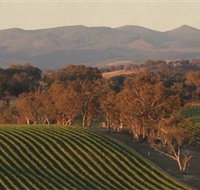 Angullong Wines - Hotel QLD