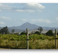 Ironbark Ridge Vineyard
