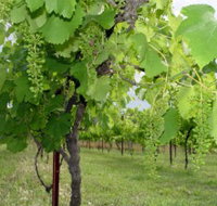 Holland Wines - Hotel QLD