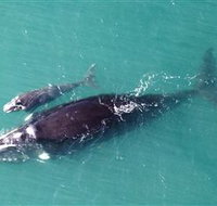 Fazshot Photography - Hotel QLD