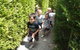 Hedgend Maze And Healesville Laser Sport - thumb 1