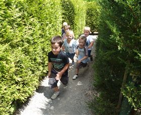 Hedgend Maze And Healesville Laser Sport - Hotel QLD 1