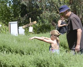 Hedgend Maze And Healesville Laser Sport - Hotel QLD 2