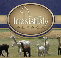 Marchmont Park Alpacas - Hotel QLD