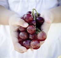 Granitevale  Estate Winery - Hotel QLD