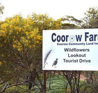 Coorow Farm Wildflower Trail - Hotel QLD