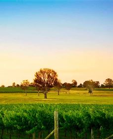 Canberra District Wineries - Hotel QLD 0