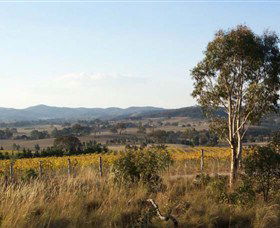Yarrh Wines - Hotel QLD 0