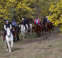 Burnelee Excursions on Horseback - Hotel QLD
