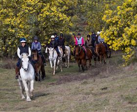 Burnelee Excursions On Horseback - Hotel QLD 0